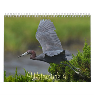 Calendrier Oiseaux d'eau 4