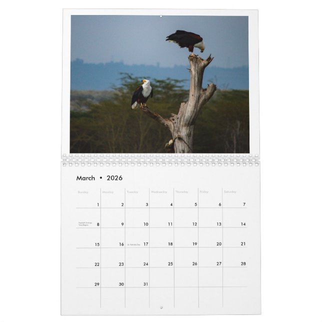 Calendrier Oiseaux du Kenya - Lac Naivasha (Mar 2026)
