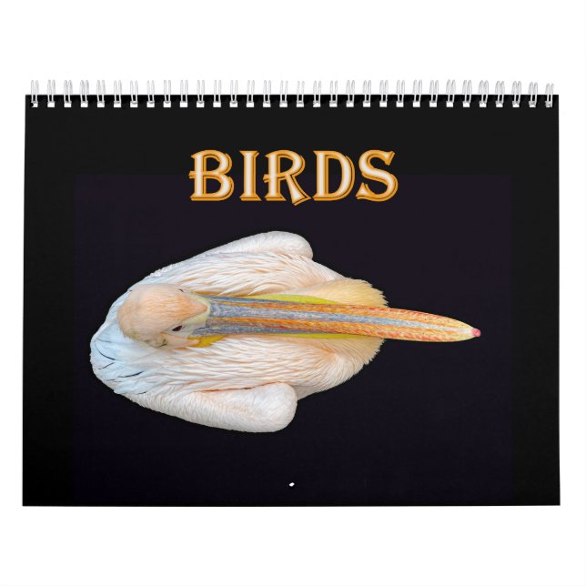 Calendrier oiseaux du monde (Protection)