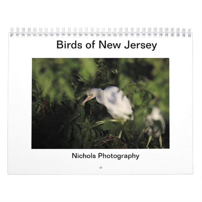 Calendrier Oiseaux du New Jersey (Protection)