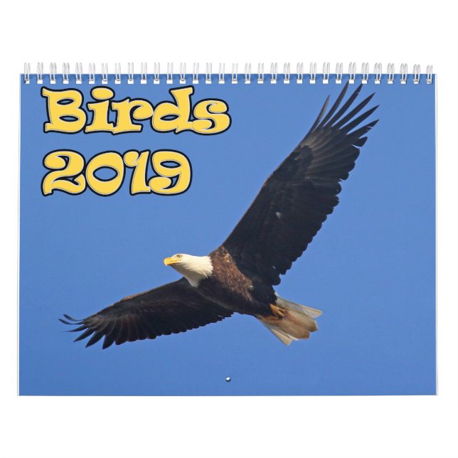 Calendrier Oiseaux du nord-est (Protection)
