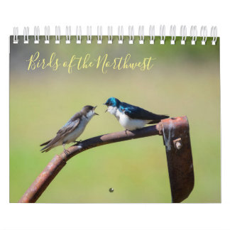 Calendrier Oiseaux du Nord-Ouest