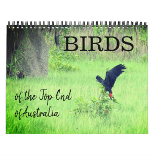 Calendrier oiseaux du top end 2027