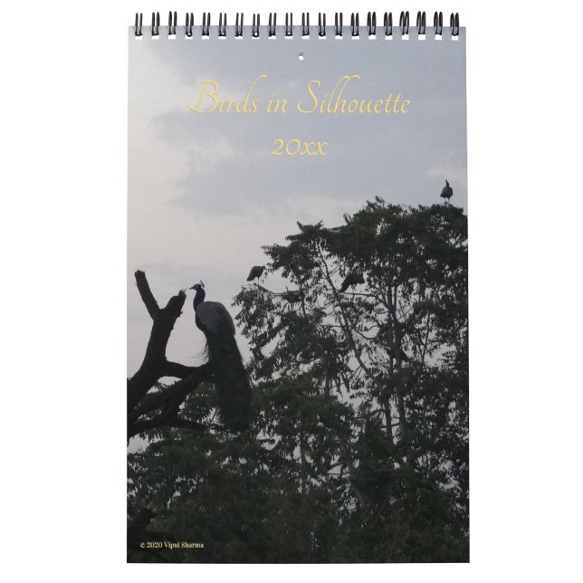 Calendrier Oiseaux en Silhouette Photographie Nature 2026 Mur (Protection)