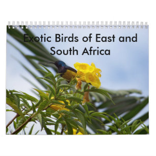 Calendrier Oiseaux exotiques d'est et de l'Afrique du Sud
