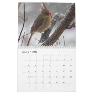Calendrier Oiseaux Jardins