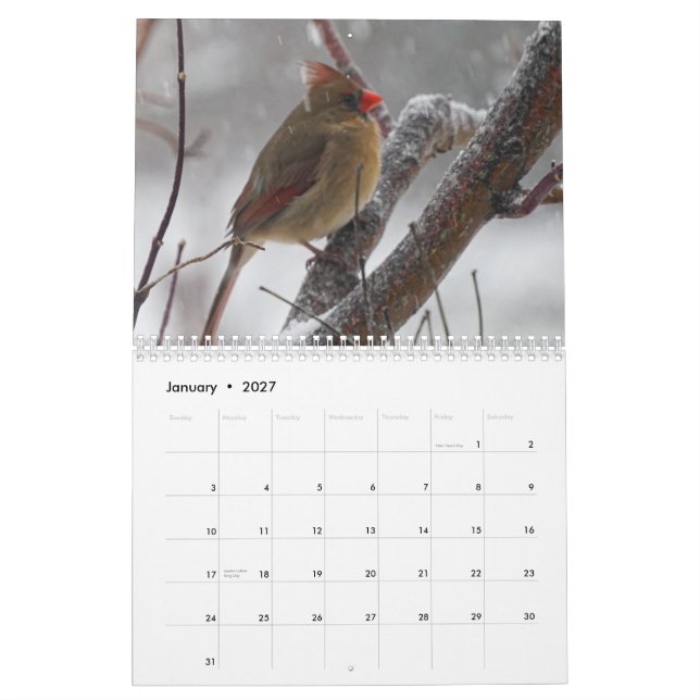 Calendrier Oiseaux Jardins (Jan 2027)