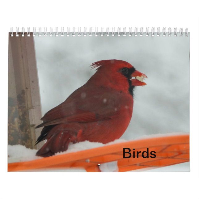 Calendrier Oiseaux jardins (Protection)