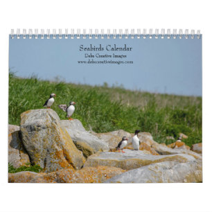 Calendrier Oiseaux marins à Machias Seal Island 2025