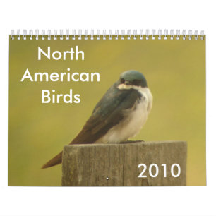 Calendrier Oiseaux nord-américains 2010