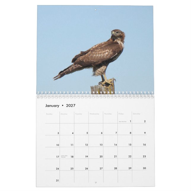 Calendrier Oiseaux nord-américains 2010 (Jan 2027)
