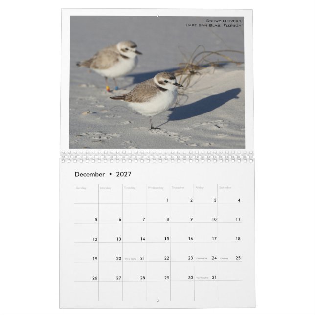 Calendrier Oiseaux nord-américains par Emily Willoughby (Dec 2027)