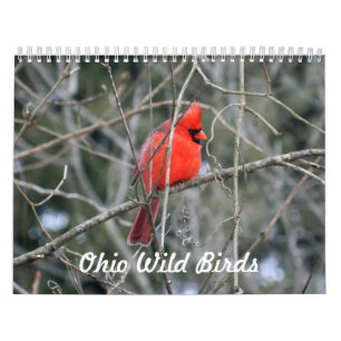 Calendrier Oiseaux sauvages de l'Ohio