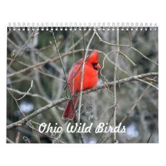 Calendrier Oiseaux sauvages de l'Ohio