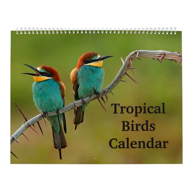 Calendrier Oiseaux tropicaux (Protection)
