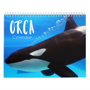 calendrier orca 2022 drôle & mignon orques