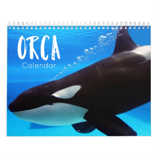 calendrier orca 2023 drôles & jolies orques (Protection)
