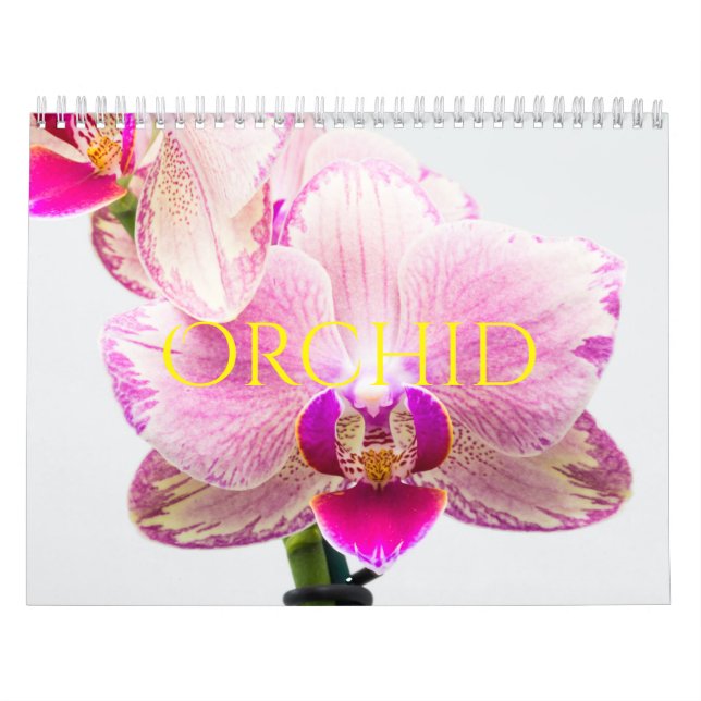 Calendrier Orchidée (Protection)