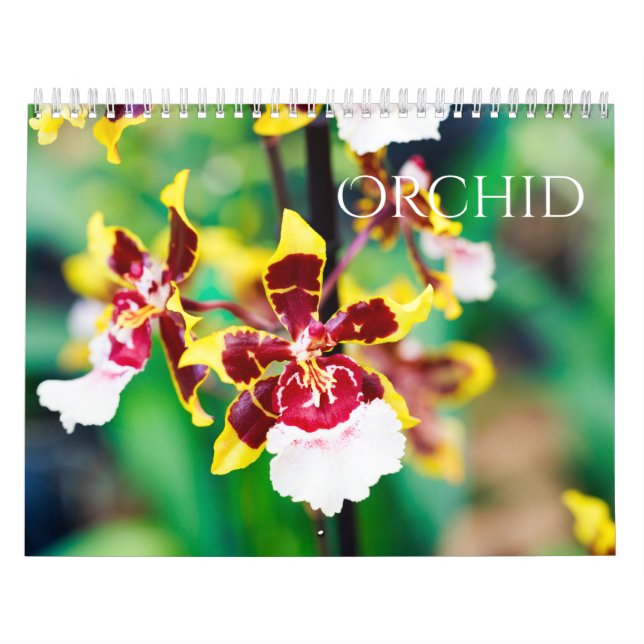 Calendrier Orchidée (Protection)