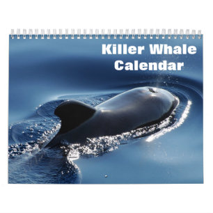 Calendrier Orques de baleines tueuses 2025