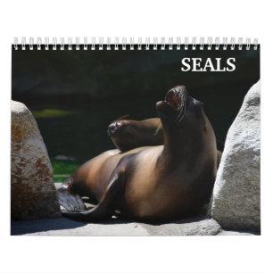 Calendrier Otaries 2026
