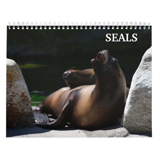 Calendrier Otaries 2026 (Protection)