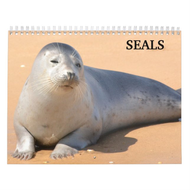 Calendrier Otaries 2027 (Protection)