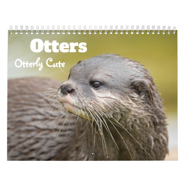Calendrier Otter 2026 (Protection)