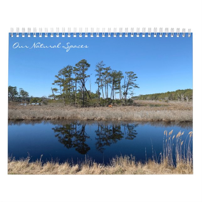 Calendrier Our Natural Spaces: dreamflower 2026 calendar (Protection)