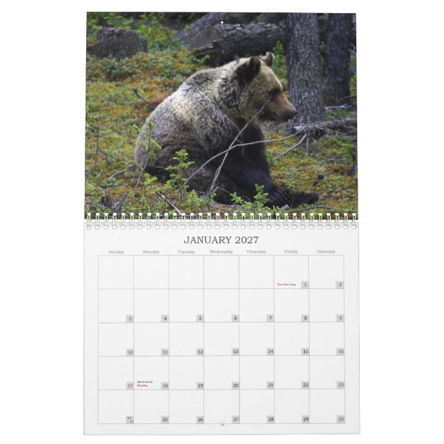 Calendrier Ours gris canadiens occidentaux (Jan 2027)