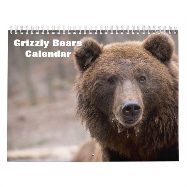 Calendrier Ours Grizzly 2027 (Protection)