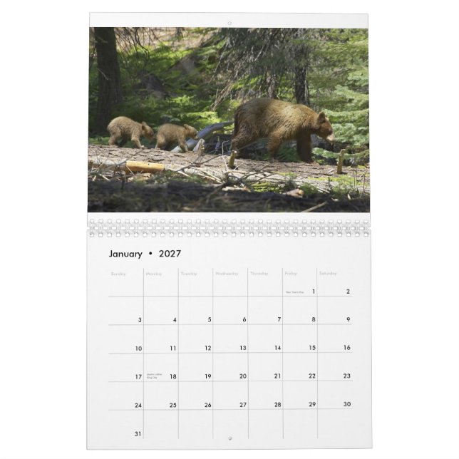 Calendrier Ours par Edouard Hughes (Jan 2027)