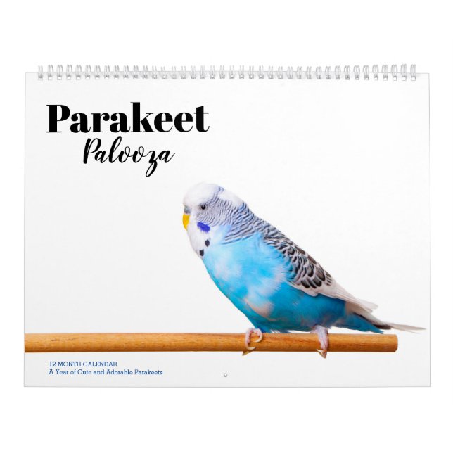Calendrier Palooza Parakeet (Protection)