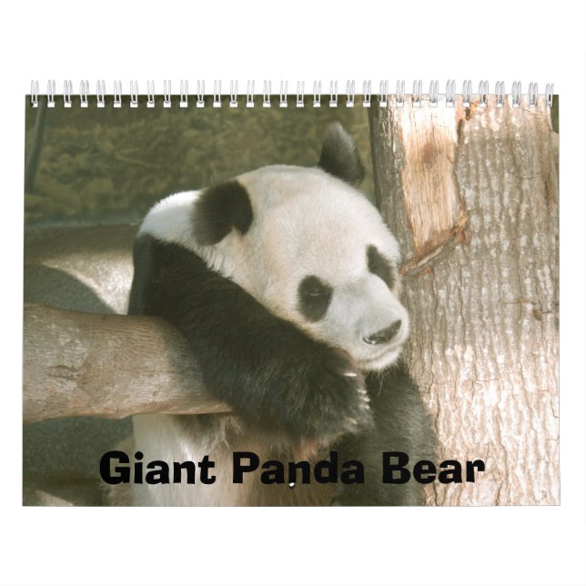 Calendrier PandaM016, ours panda géant (Protection)