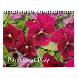 Calendrier ~ Pansies en cours de lecture