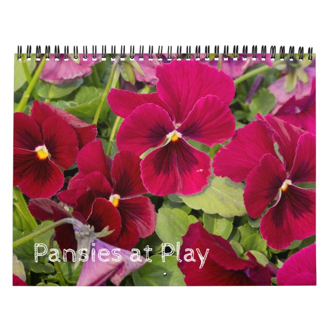Calendrier ~ Pansies en cours de lecture (Protection)