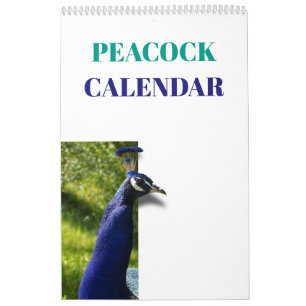 Calendrier Paon Coloré 2027