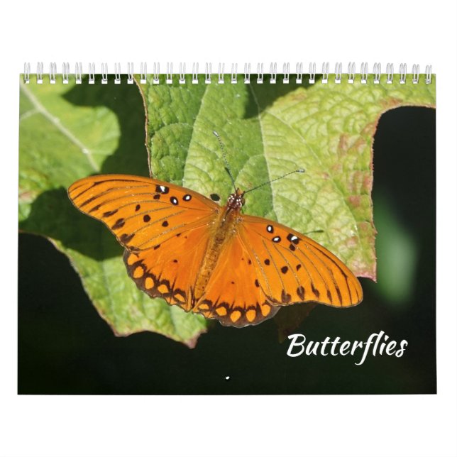 Calendrier papillon (Protection)