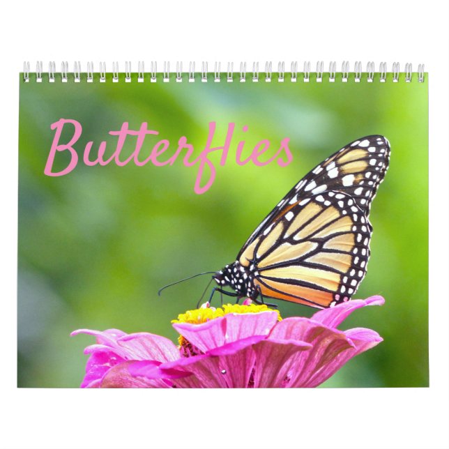 Calendrier papillon (Protection)