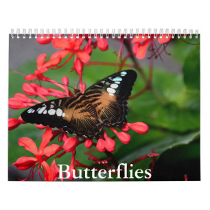 Calendrier papillon