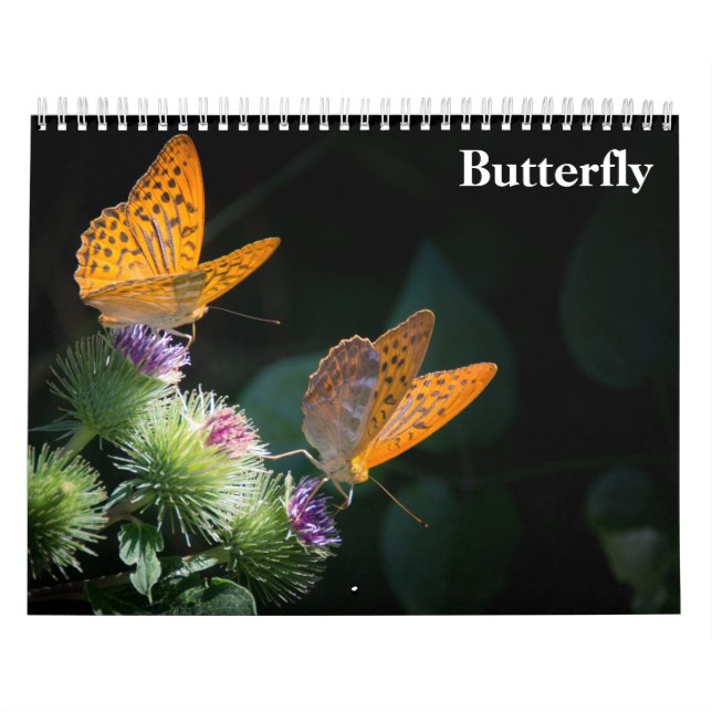 Calendrier Papillon 2027 (Protection)