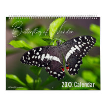 Calendrier Papillon Choisissez votre mois / année 