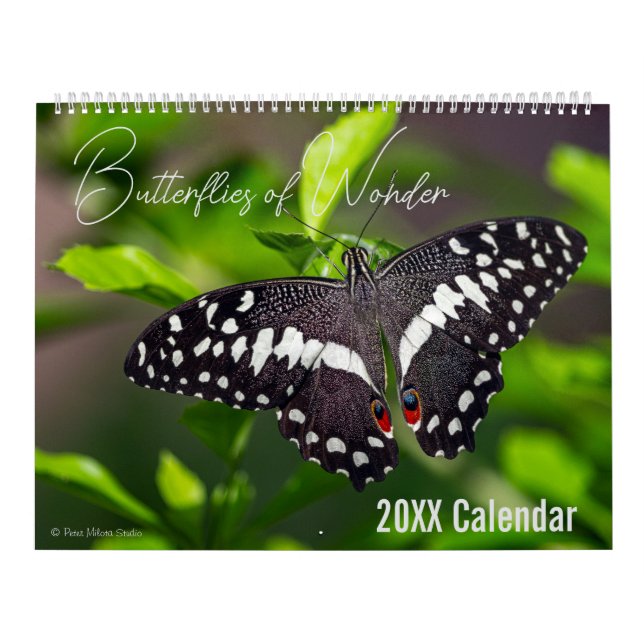 Calendrier Papillon Choisissez votre mois de début (Protection)