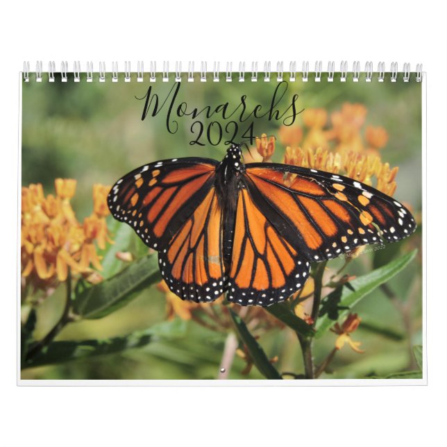 Calendrier Papillon monarque (Protection)