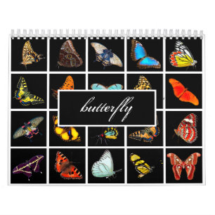 Calendrier Papillon photo moderne