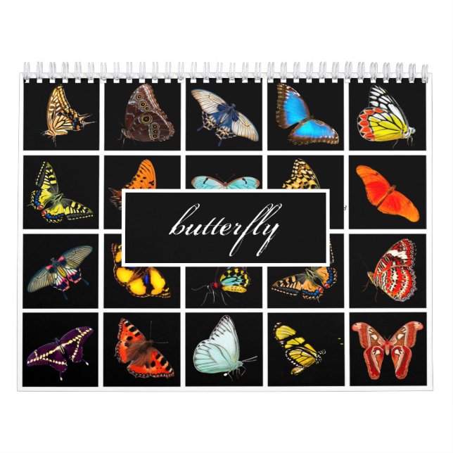 Calendrier Papillon photo moderne (Protection)