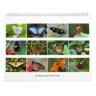 Calendrier Papillons 2019
