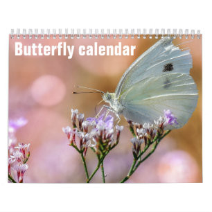 Calendrier Papillons 2025