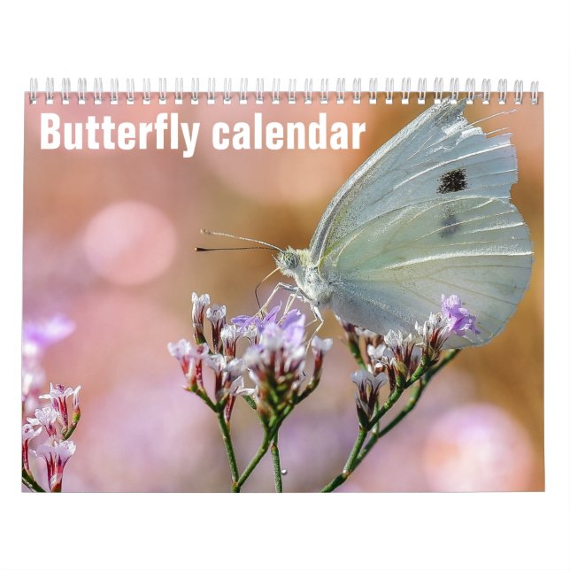 Calendrier Papillons 2025 (Protection)