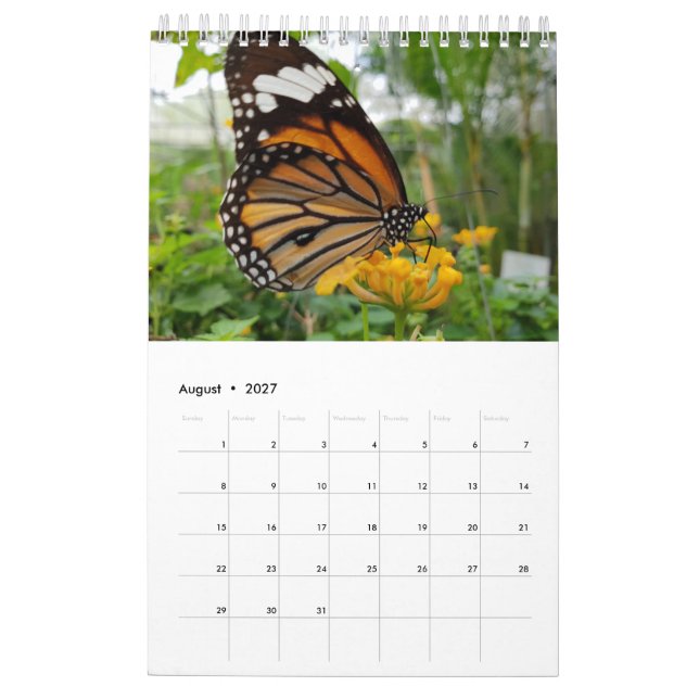 Calendrier Papillons de la Thaïlande (Aug 2027)